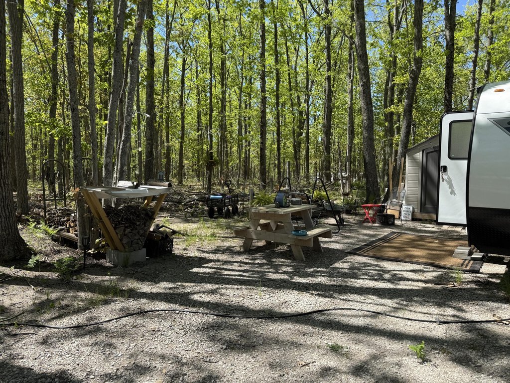 Picture 4