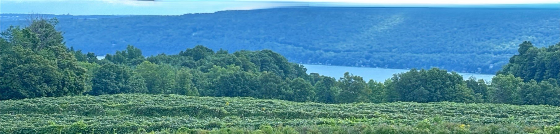 Two Acre Corner Lot