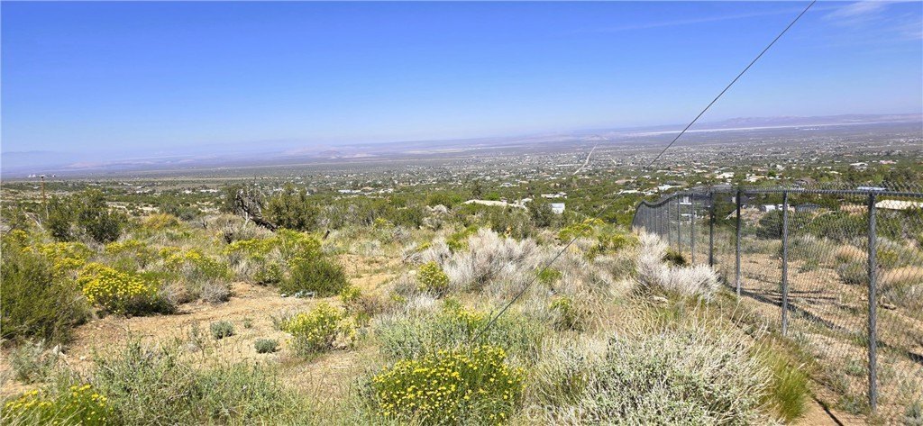 Picture 10