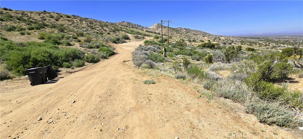 Picture 24