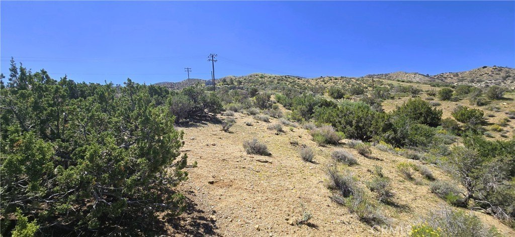 Picture 15