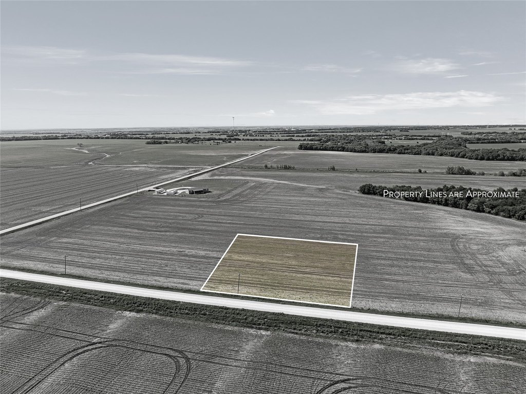 Picture 5