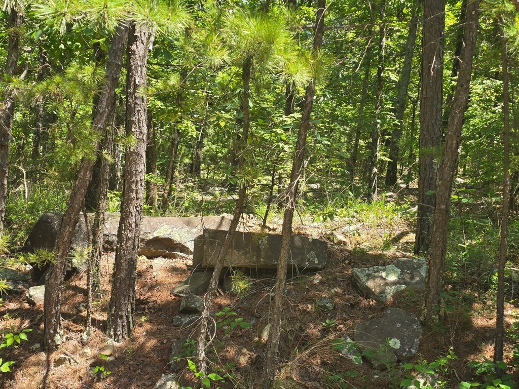 Picture 2
