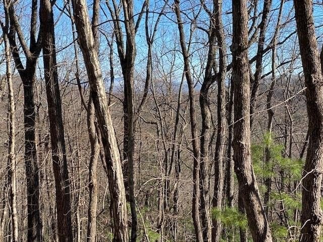 Land Near Downtown Blue Ridge