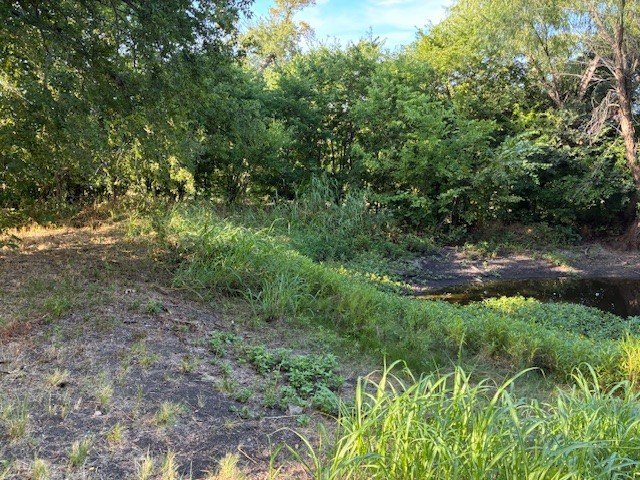 Picture 18