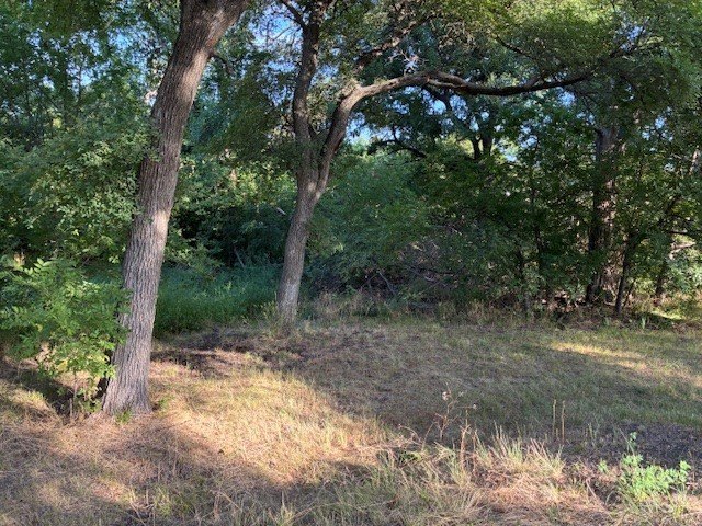 Picture 5