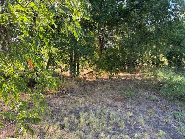 Picture 17