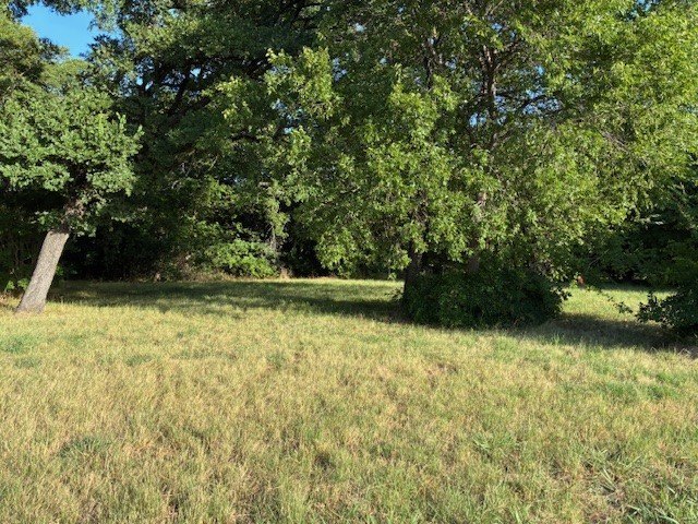 Picture 21