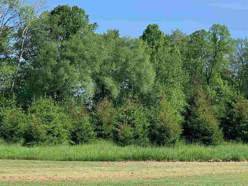 Picture 15