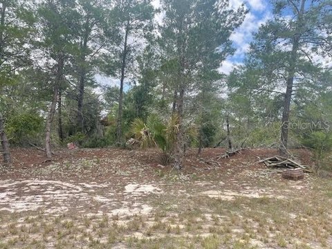 Residential Lot in Poinciana Village