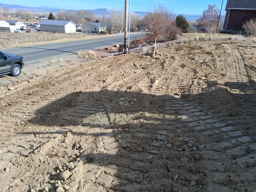 Picture 6