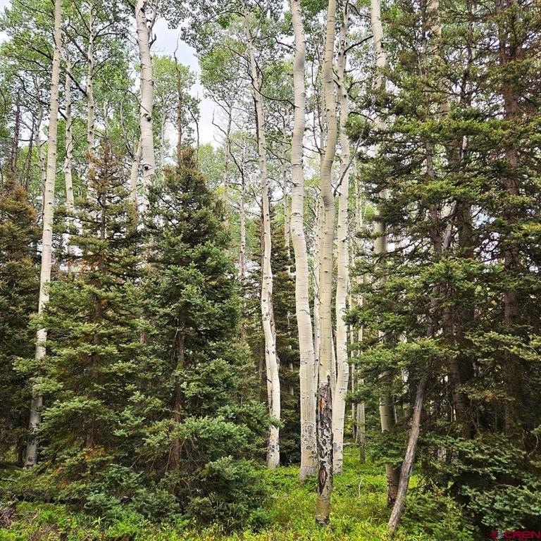 Land in Cimarron, Colorado