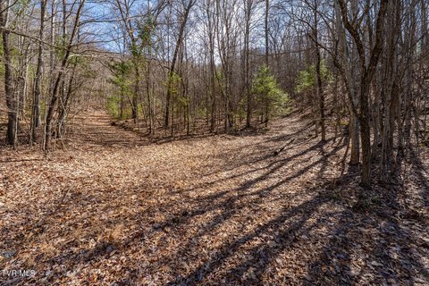 Mountain City Land For Sale