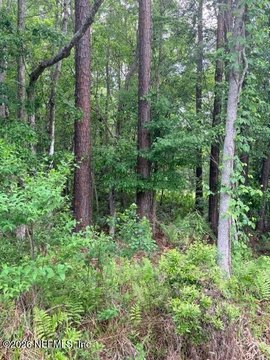 Wooded Lot Near New Homes