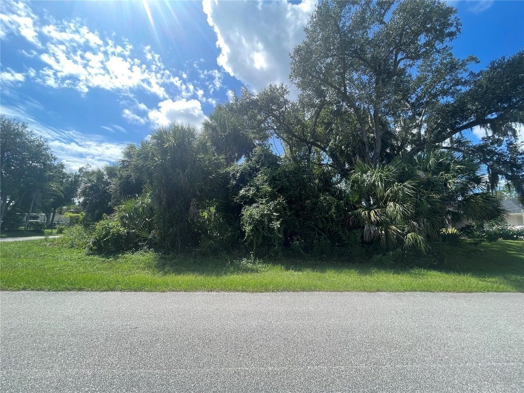 Picture 12