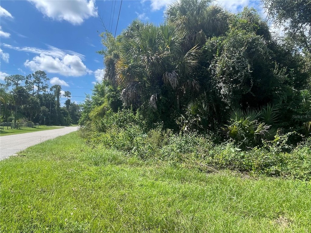 Picture 21