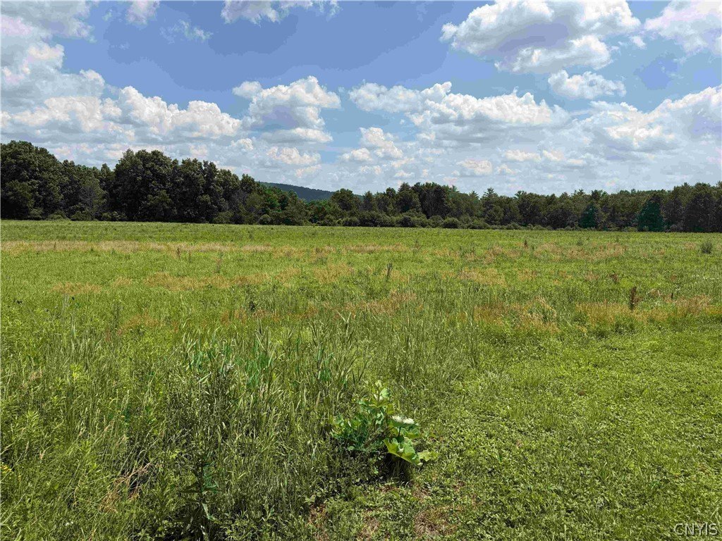 Picture 8