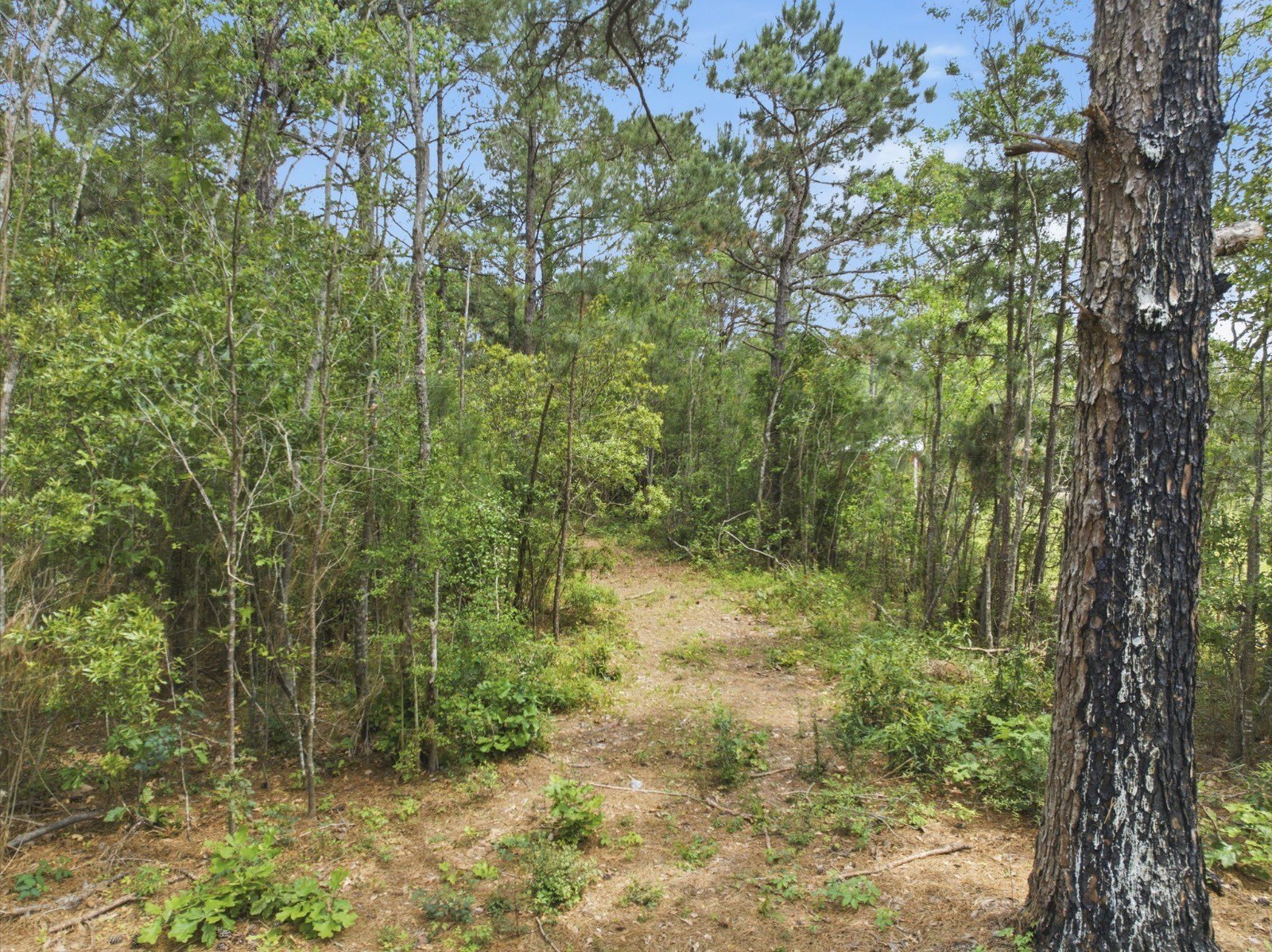 Jennings Land For Sale
