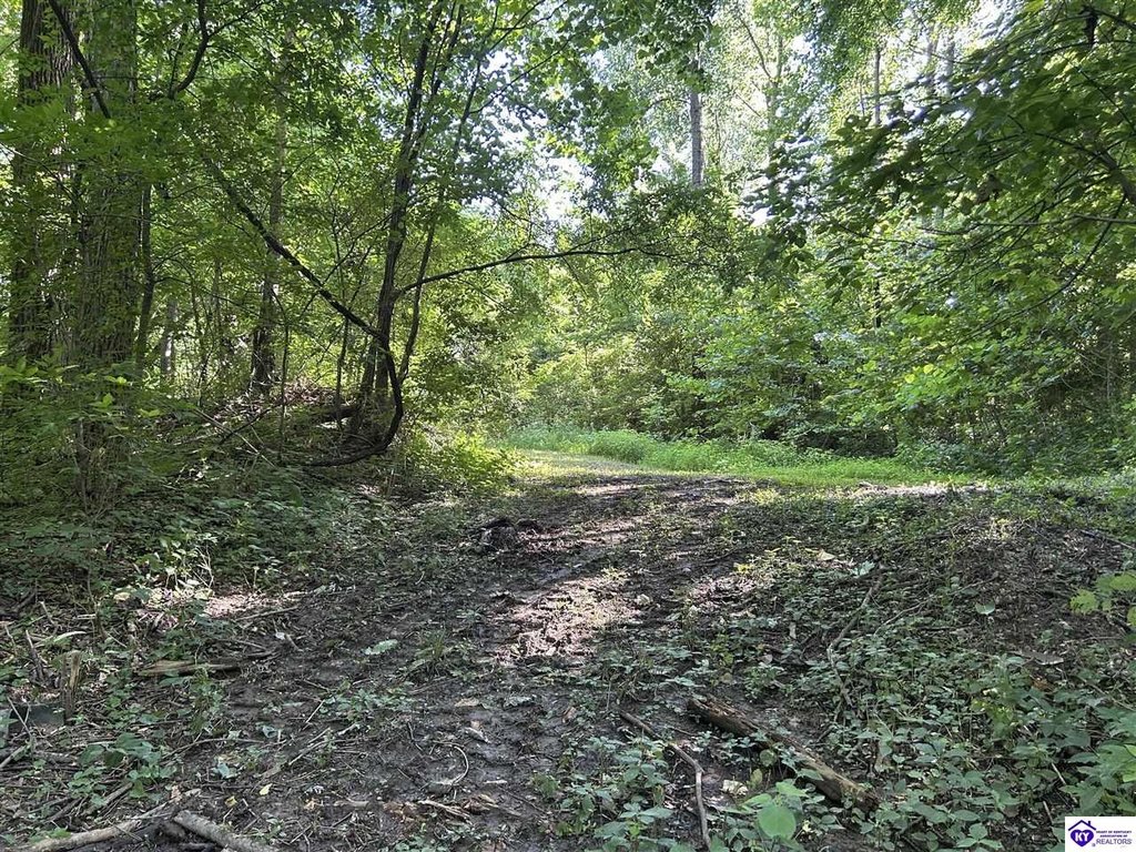 Picture 10