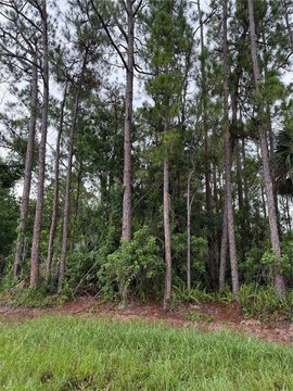 Land, PALM BAY, FL