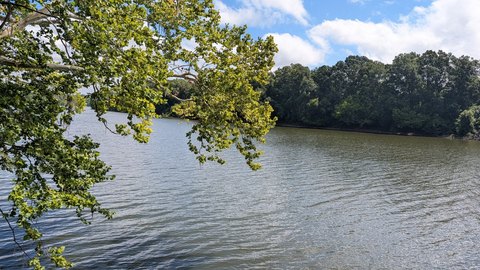 Land, Selma, AL