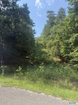 LAND - Cedar Bluff, AL