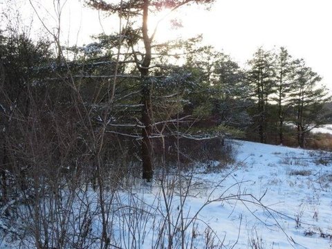6.17 Acres Vacant Land