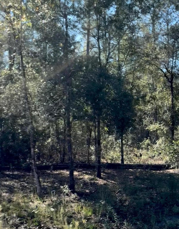 Picture 10