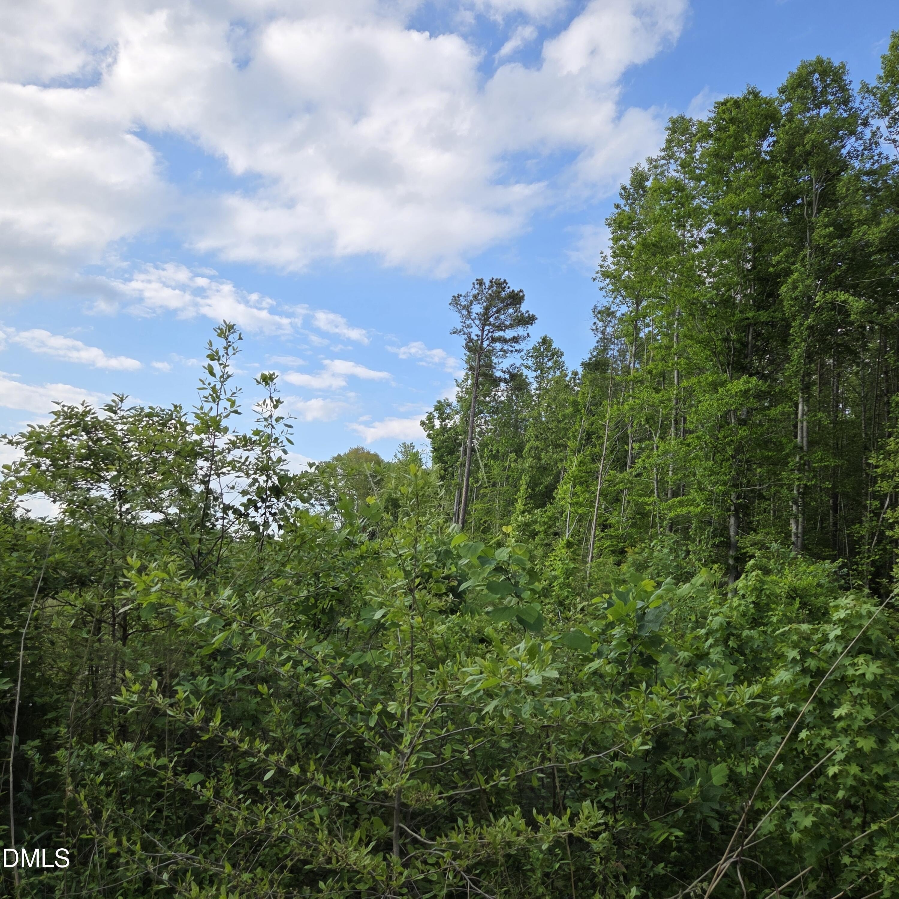 Warrenton, NC Land For Sale