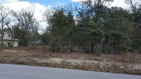 Land, SUMMERFIELD, FL
