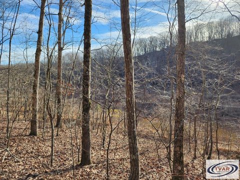 Unrestricted Land in Holladay, TN