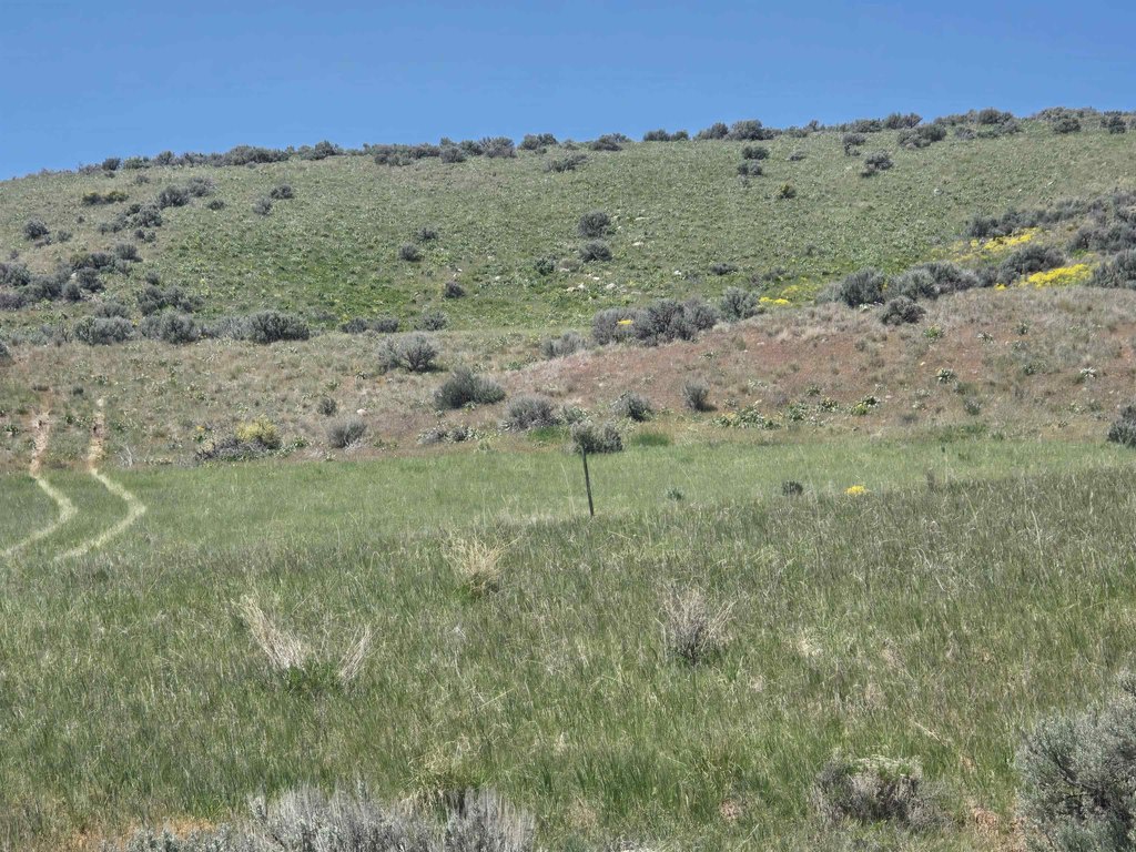 Picture 10