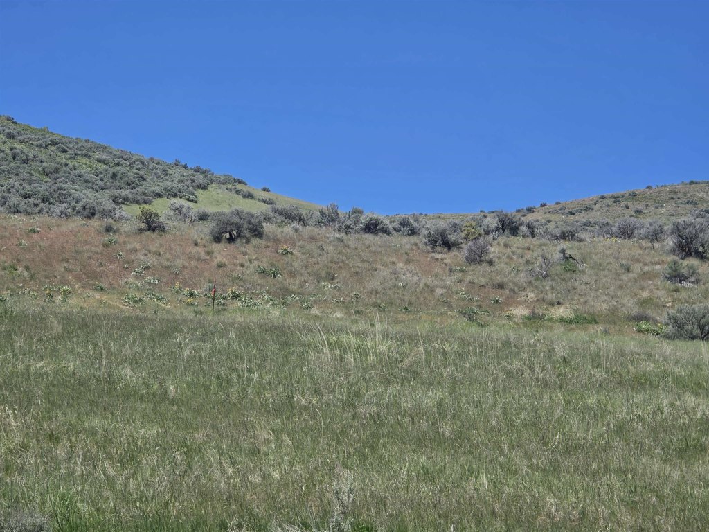 Picture 8