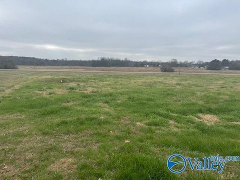 Commercial Land in Elkmont, AL