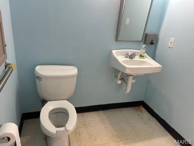Picture 8