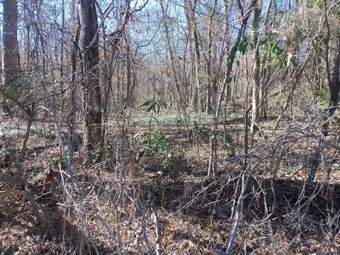 LAND - Kilgore, TX
