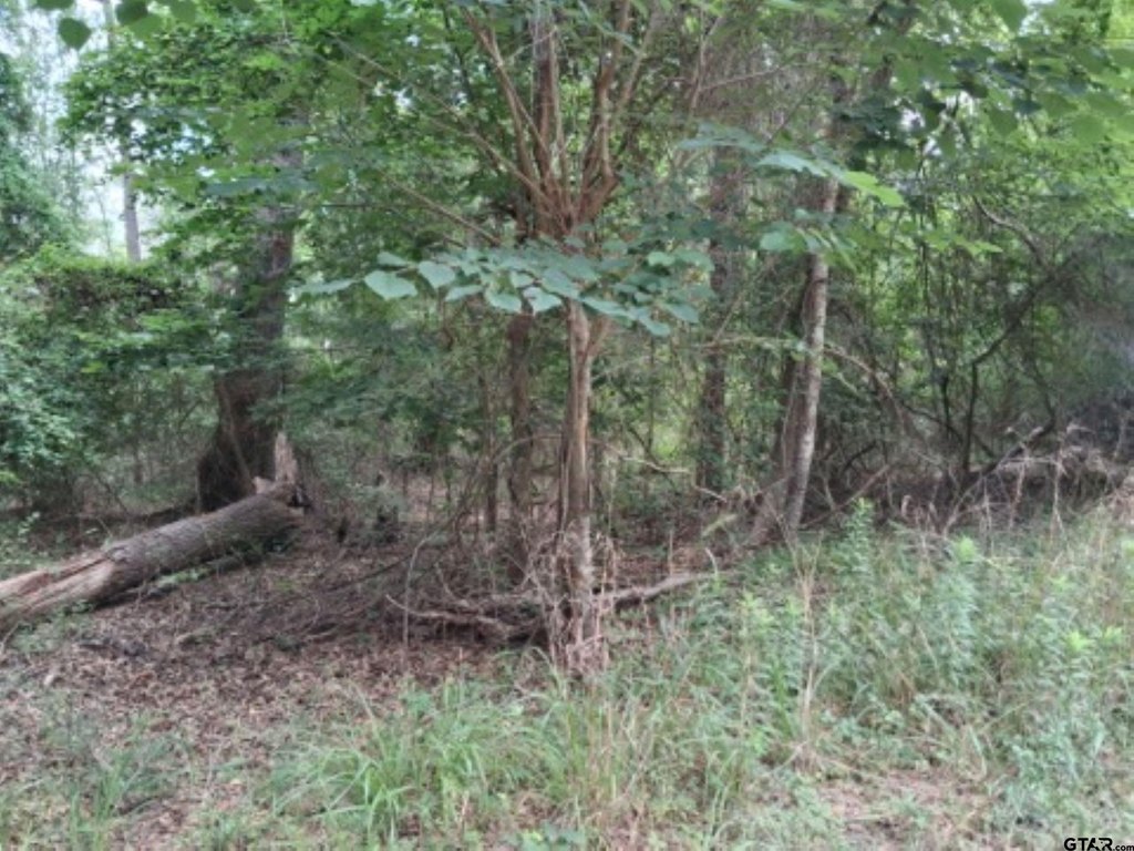 Picture 6