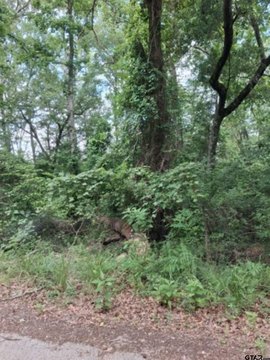 LAND - Murchison, TX