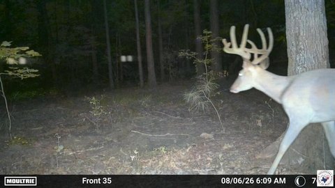 Hunting Land with Creeks