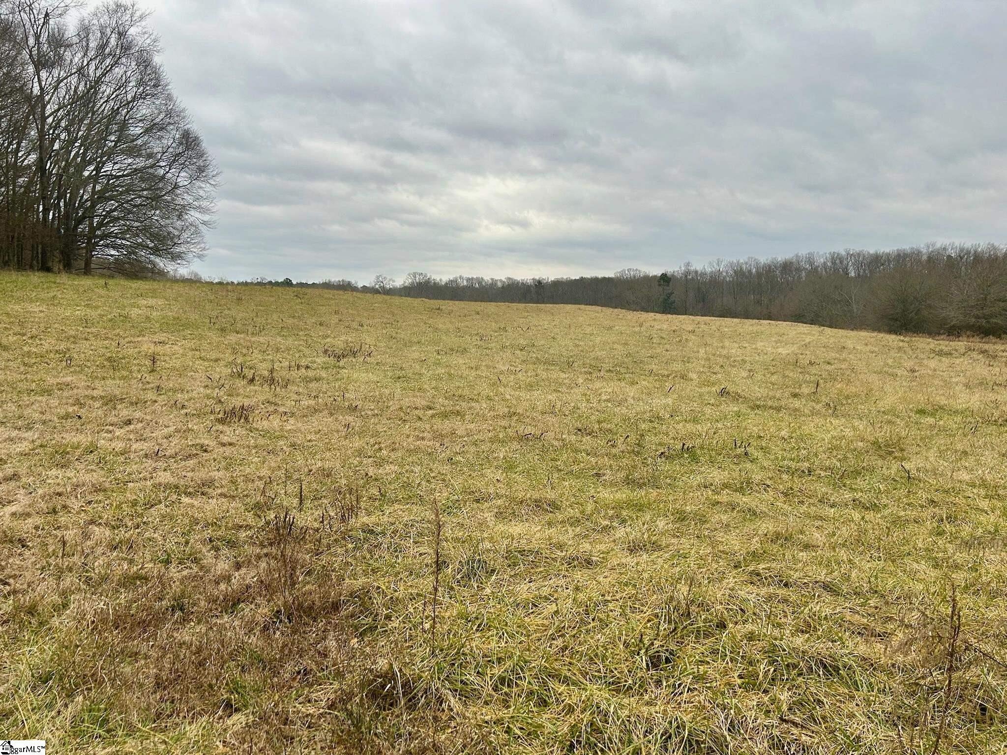 Pelzer Land with Road Frontage