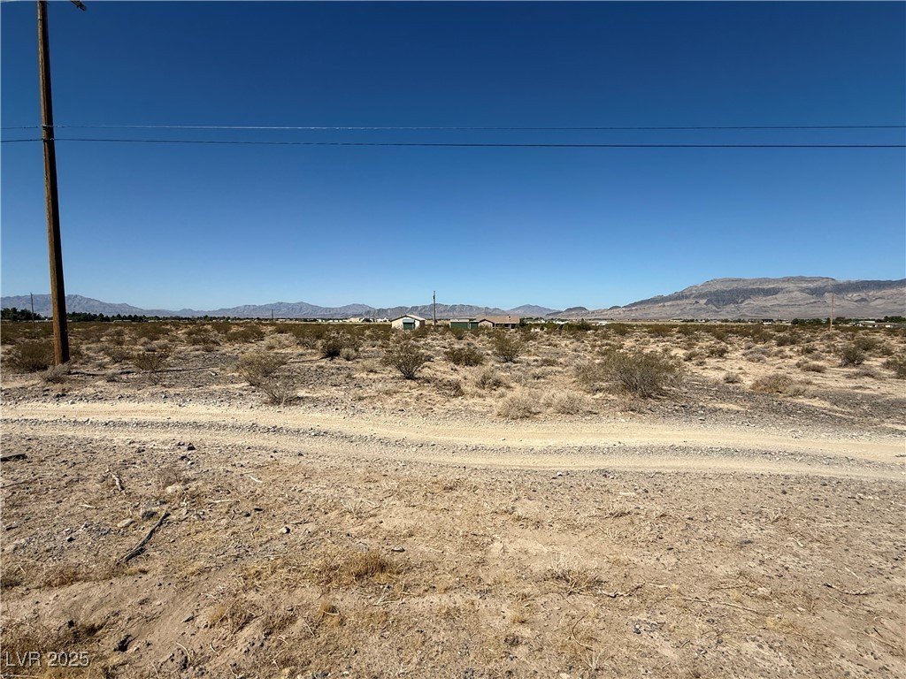 Picture 5