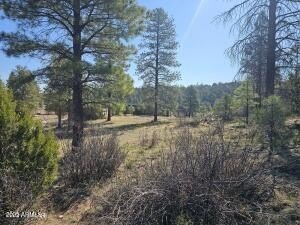 Heber, AZ Land Parcel