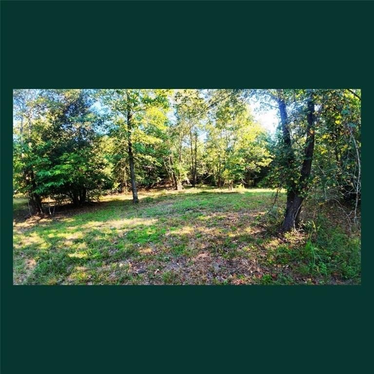 Picture 3