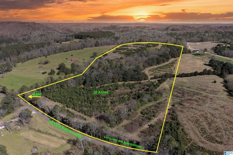Wooded Pasture Land with Pond