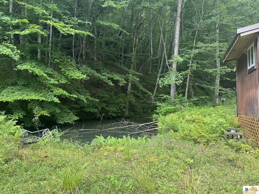 Picture 10