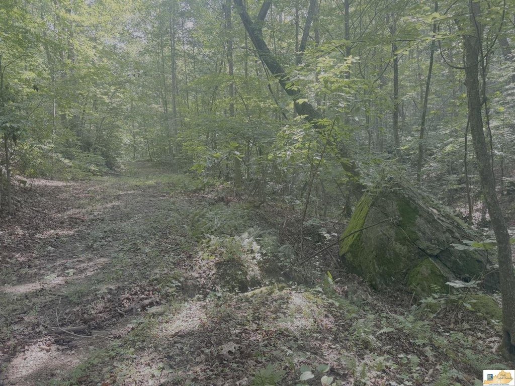 Picture 24