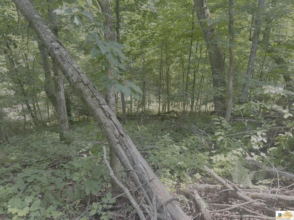 Picture 18
