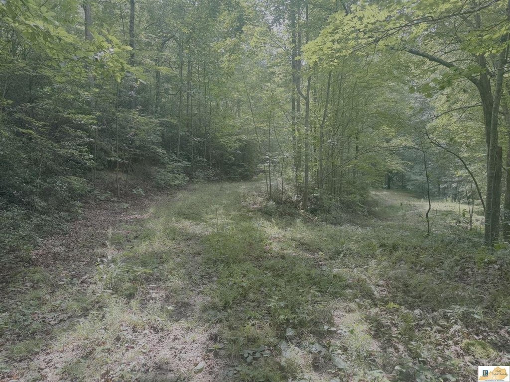 Picture 30