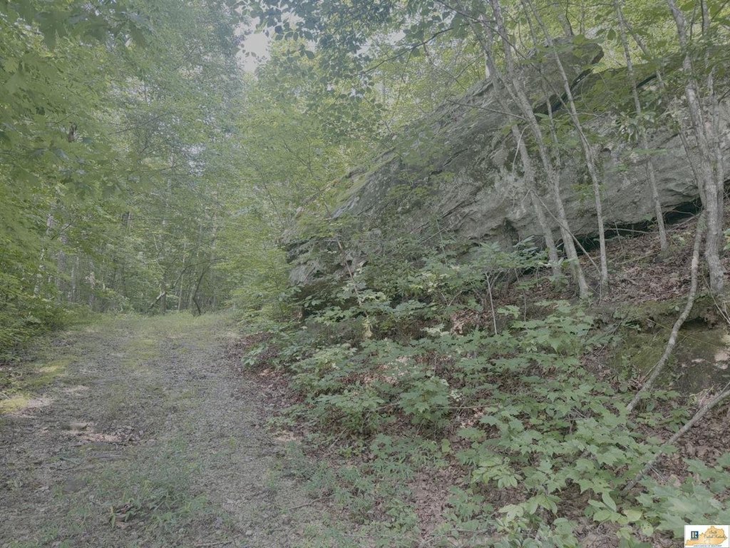 Picture 27