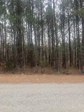 North Little Rock Land Opportunity